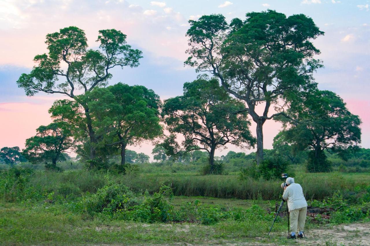 Southwild Pantanal Lodge Pixaim Buitenkant foto