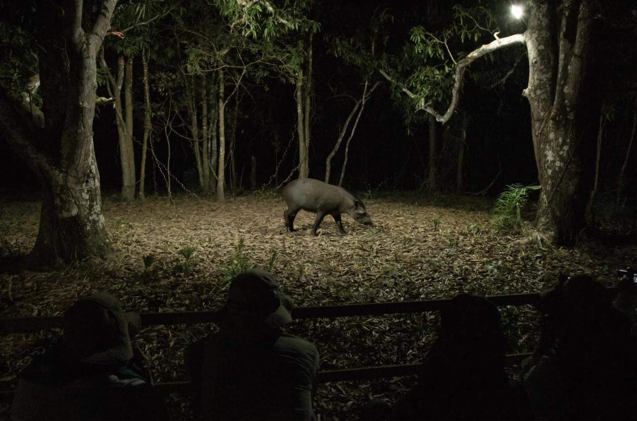 Southwild Pantanal Lodge Pixaim Buitenkant foto