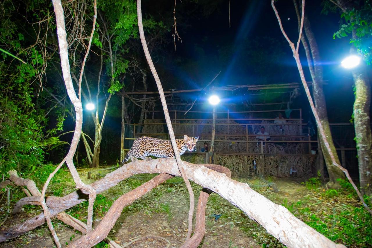 Southwild Pantanal Lodge Pixaim Buitenkant foto