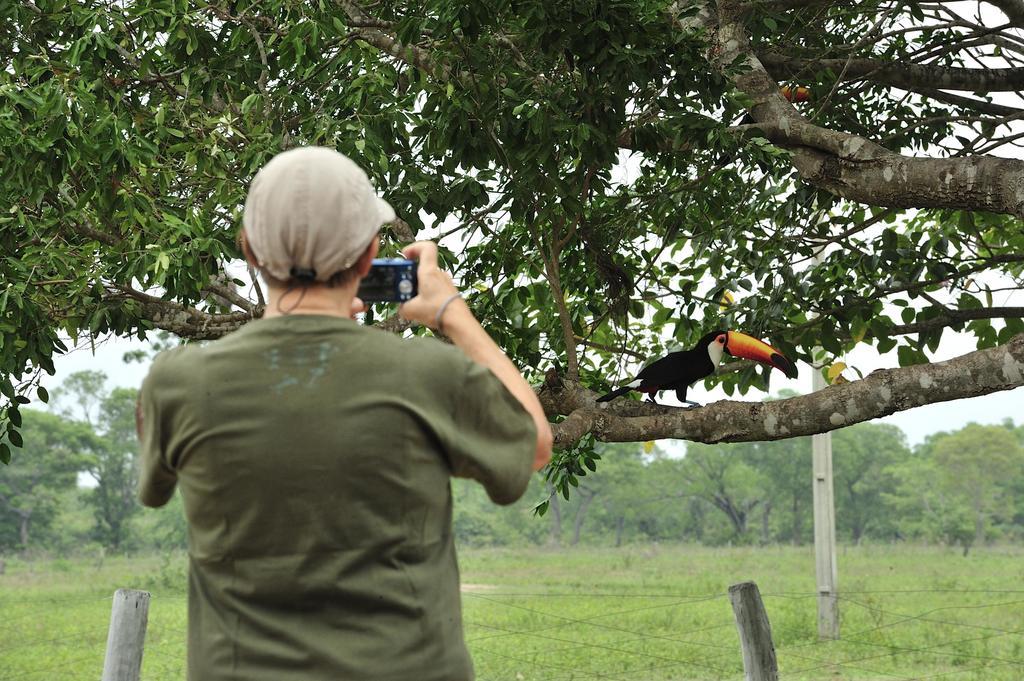 Southwild Pantanal Lodge Pixaim Buitenkant foto