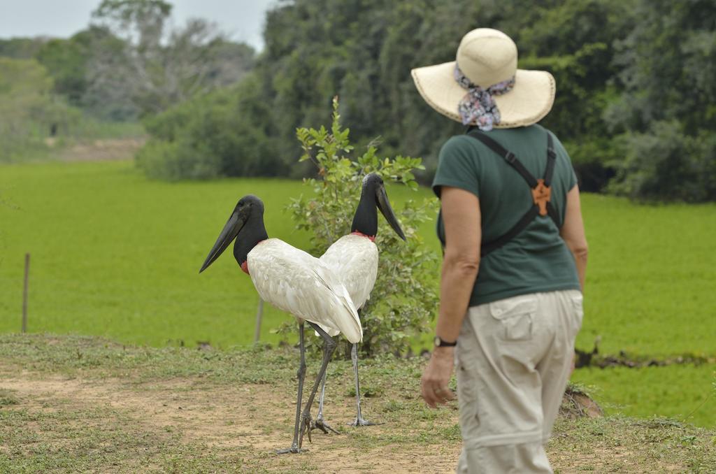 Southwild Pantanal Lodge Pixaim Buitenkant foto