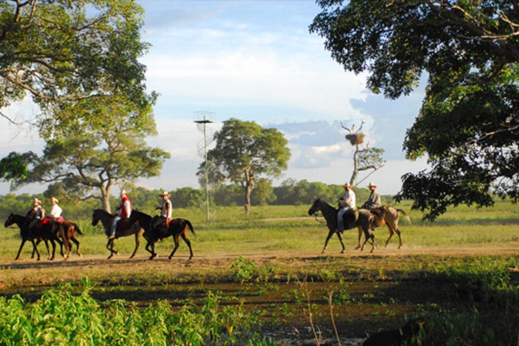 Southwild Pantanal Lodge Pixaim Buitenkant foto