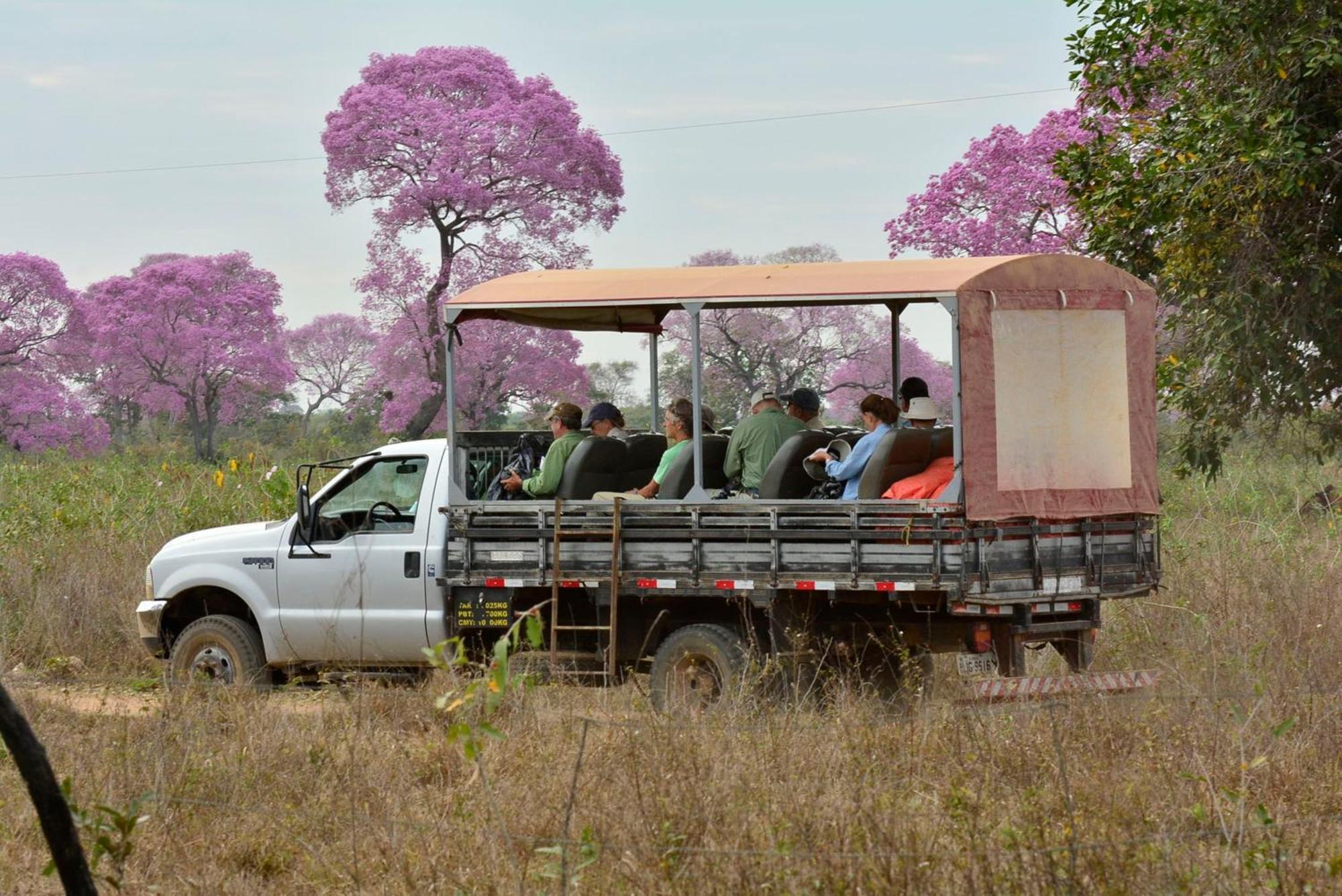 Southwild Pantanal Lodge Pixaim Buitenkant foto