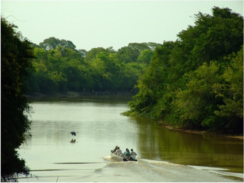 Southwild Pantanal Lodge Pixaim Buitenkant foto